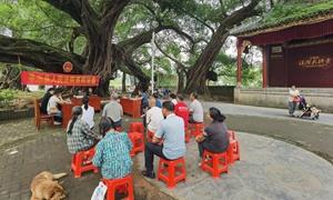 千年古榕下的“法治密码”